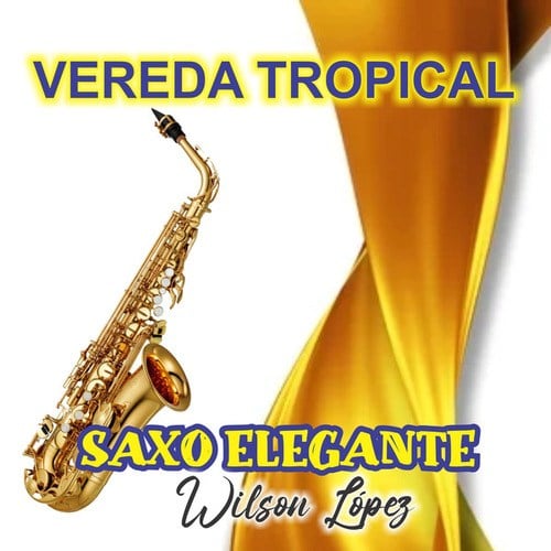 VEREDA TROPICAL éxito instrumental