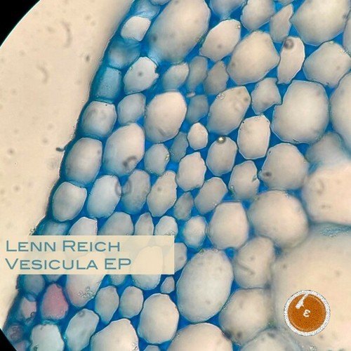 Lenn Reich-Vesicula