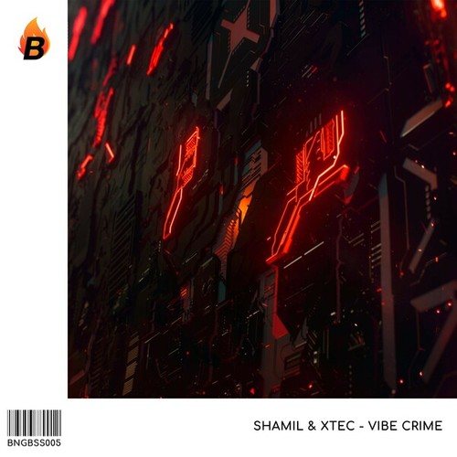 Shamil, XTEC-Vibe Crime