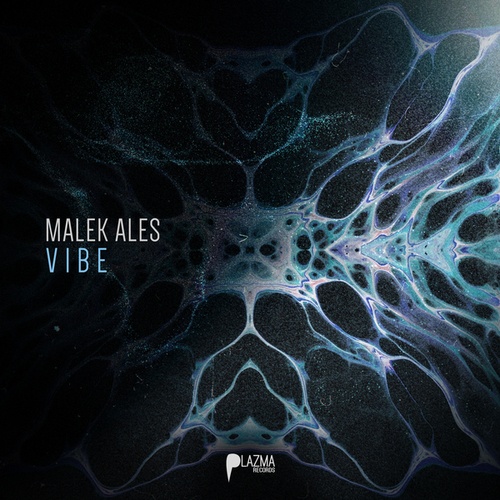 Malek Ales-Vibe