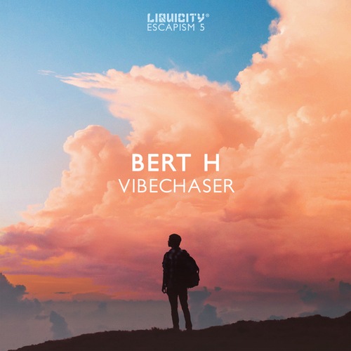 Bert H-Vibechaser