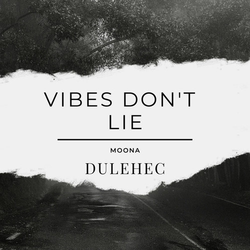 Dulehec-Vibes Don't Lie