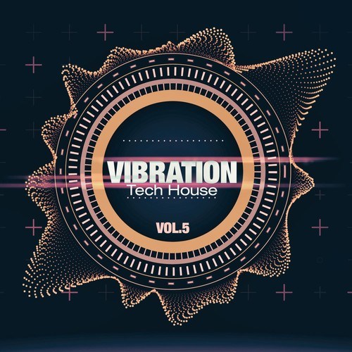 Various Artists-Vibration, Vol. 5