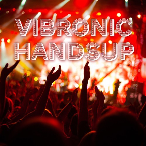 Various Artists-Vibronic Handsup