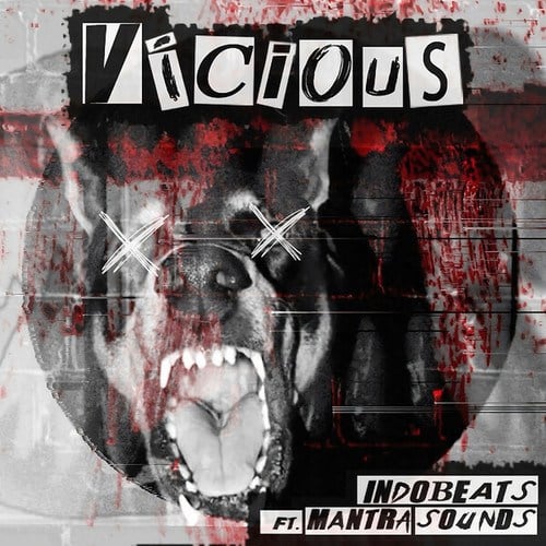 Indobeats, Mantra Sounds-Vicious