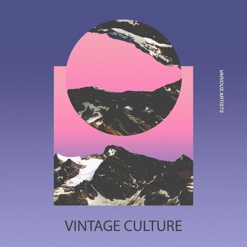 Various Artists-Vintage Culture