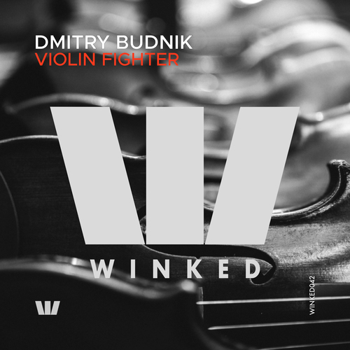 Dmitry Budnik-Violin Fighter