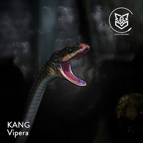 Vipera