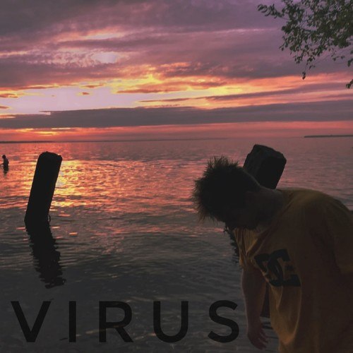 DISSELLER-Virus