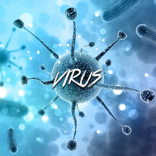 RADIKAL-Virus