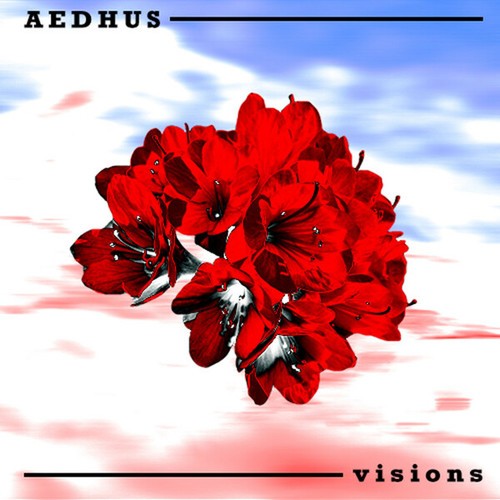 Aedhus-visions