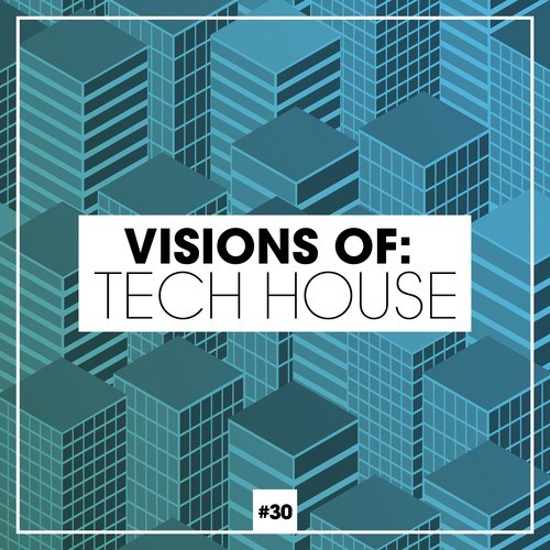 Various Artists-Visions of: Tech House, Vol. 30