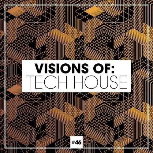 Various Artists-Visions of: Tech House, Vol. 45