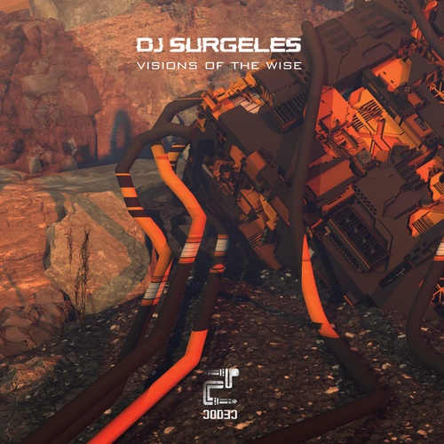Dj Surgeles-Visions of the wise