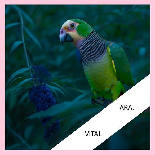 ARA.-Vital