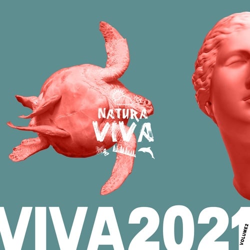 Various Artists-Viva 2021.2