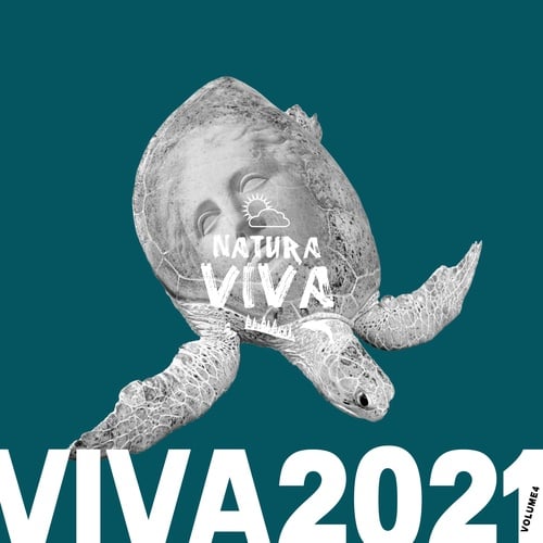 Various Artists-Viva 2021.4
