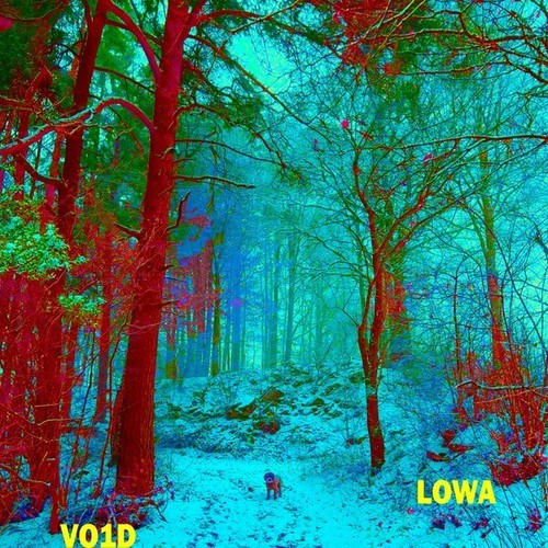 LOWA-Vo1D