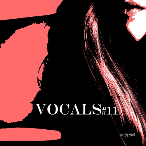 Various Artists-Vocals #11