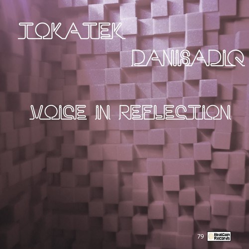 Tokatek, Danisadiq-Voice in Reflection