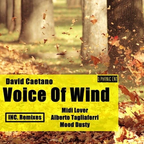 David Caetano, Midi Lover, Albeto Tagliaferri, Mood Dusty-Voice of Wind Inc. Remixes