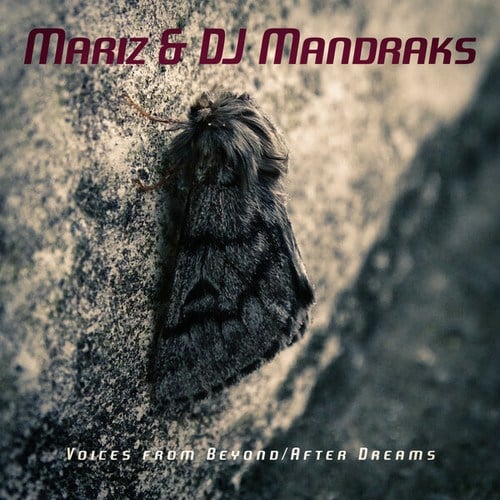 Mariz, DJ Mandraks-Voices from Beyond / After Dreams