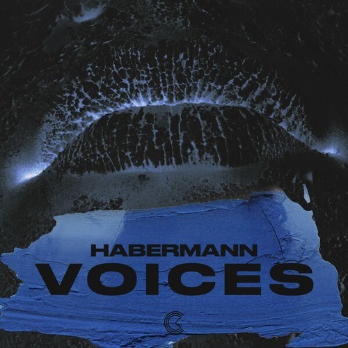 Habermann-Voices