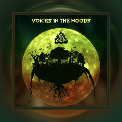 Various Artists-Voices in the Woods
