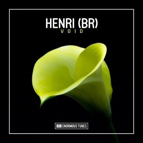 Henri (BR)-Void