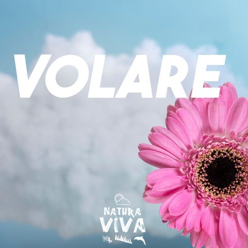 Various Artists-Volare