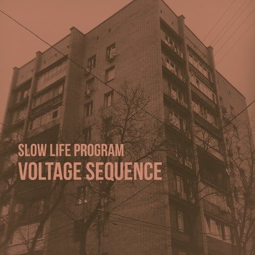 Slow Life Program-Voltage Sequence