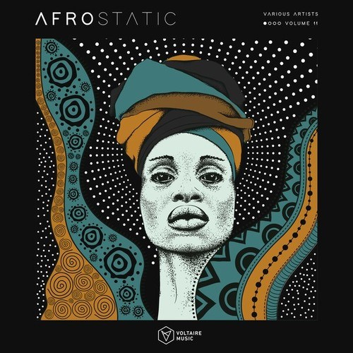 Various Artists-Voltaire Music Pres. Afrostatic, Vol. 11