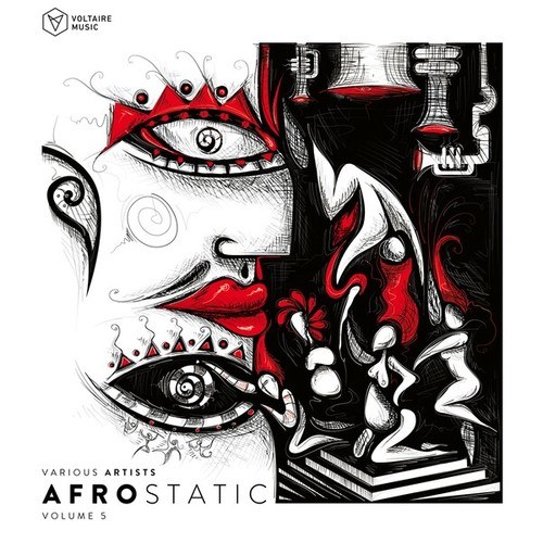 Various Artists-Voltaire Music Pres. Afrostatic, Vol. 5