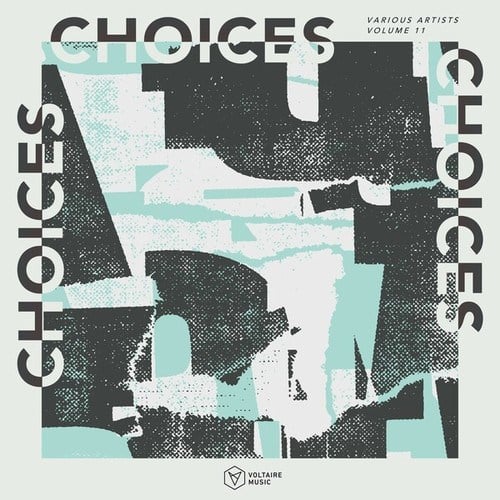 Voltaire Music Pres. Choices, Vol. 11