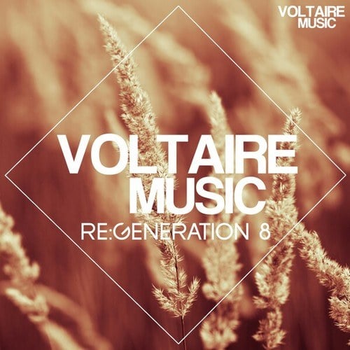Various Artists-Voltaire Music Pres. Re:Generation #8