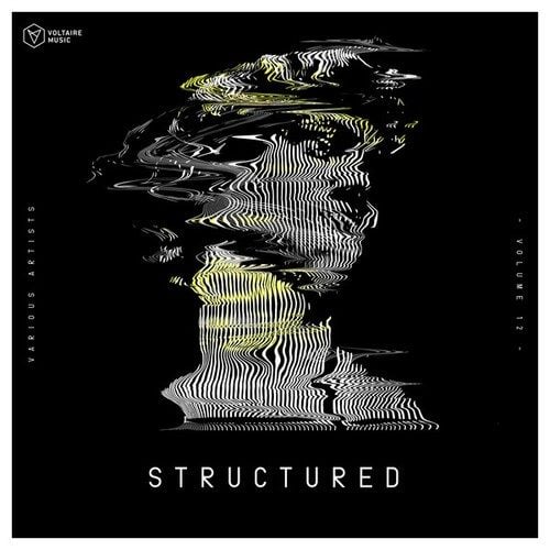 Various Artists-Voltaire Music Pres. Structured, Vol. 12
