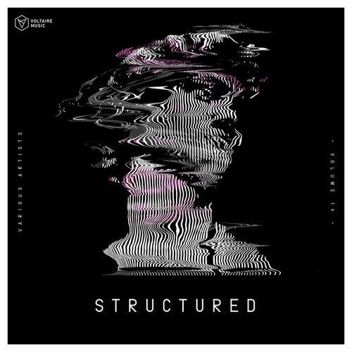 Various Artists-Voltaire Music Pres. Structured, Vol. 14