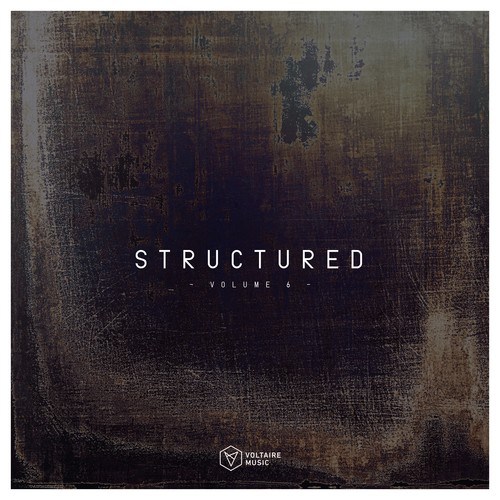 Various Artists-Voltaire Music Pres. Structured, Vol. 6