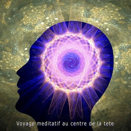 Voyage meditatif au centre de la tete