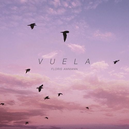 Vuela