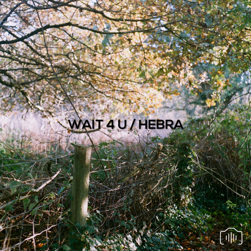 Pharma-Wait 4 U / Hebra