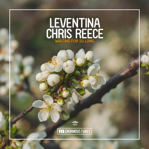 Leventina, Chris Reece-Waiting for so Long