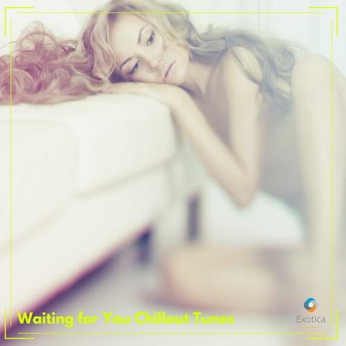 Various Artists-Waiting for You Chillout Tunes