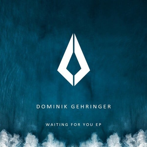 Dominik Gehringer-Waiting for You