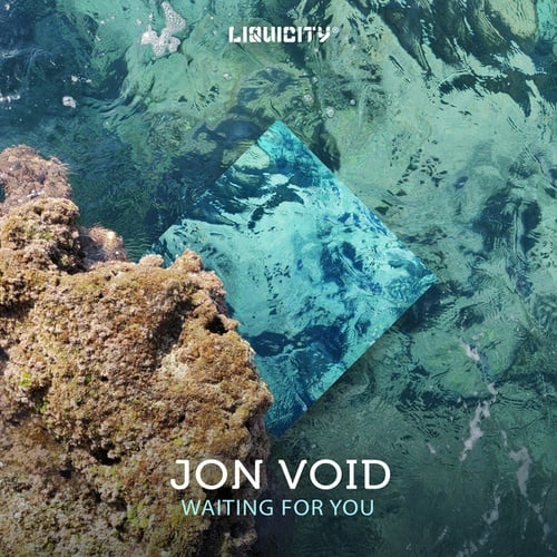 Jon Void-Waiting For You