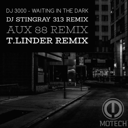 DJ 3000, DJ Stringray 313, Aux 88, T.Linder-Waiting in the Dark