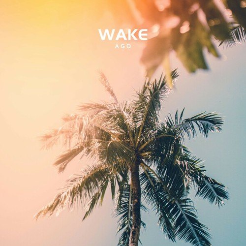 Wake