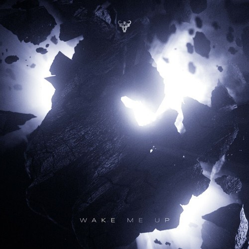 Tescao-Wake Me Up