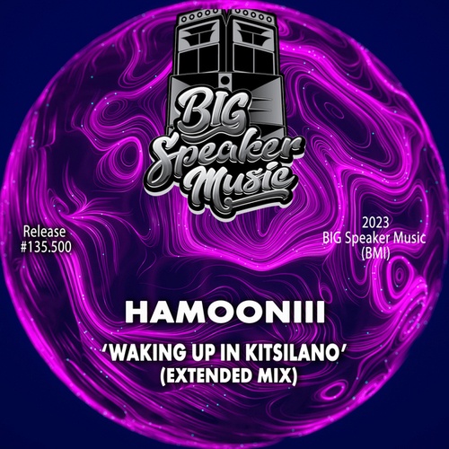 Hamooniii-Waking Up In Kitsilano