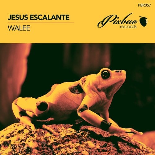 Jesus Escalante-Walee